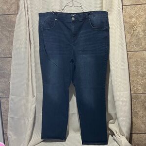 Terra & Sky Deep Indigo Straight Petite Jeans